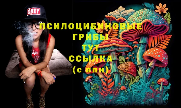 MDMA Premium VHQ Аркадак