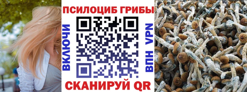 Галлюциногенные грибы MAGIC MUSHROOMS  Арсеньев 