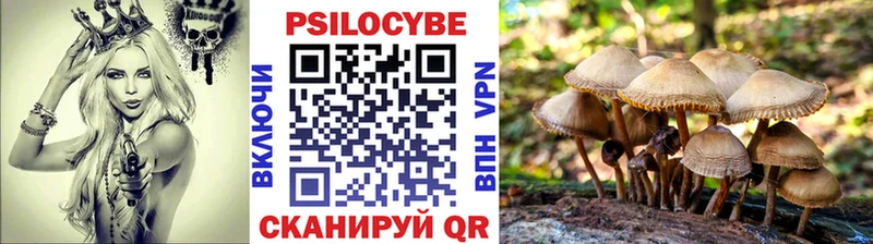 Псилоцибиновые грибы GOLDEN TEACHER Арсеньев